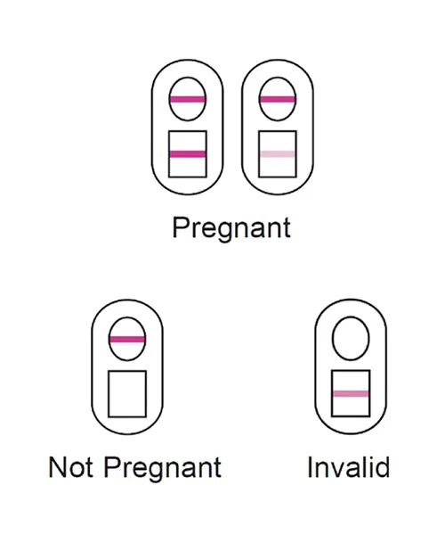Doc Johnson Male Sex Toys Versea EasyLab Pregnancy Test Pack of 2